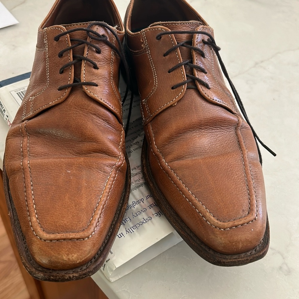 Allen Edmonds Johnson shoes